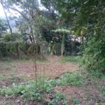 Terreno à venda ou para alugar no condomínio São Marcos, São Paulo - SP