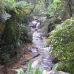 Terreno à venda com 3 quartos em Chácara Malota, Jundiaí, SP
