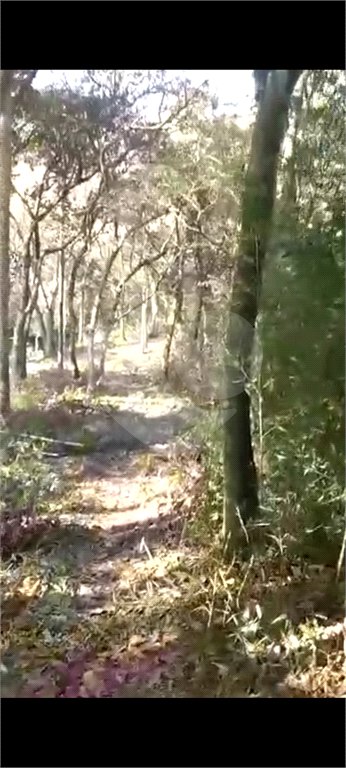 Terreno à venda em Luiz Fagundes, Mairiporã, SP