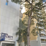 Apartamento à venda com 3 quartos, sendo 1 suíte,  em Vila Progredior, São Paulo, SP