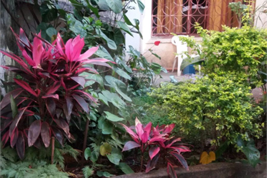 Casa Térrea à venda com 3 quartos, sendo 1 suíte, em Santana, São Paulo, SP
