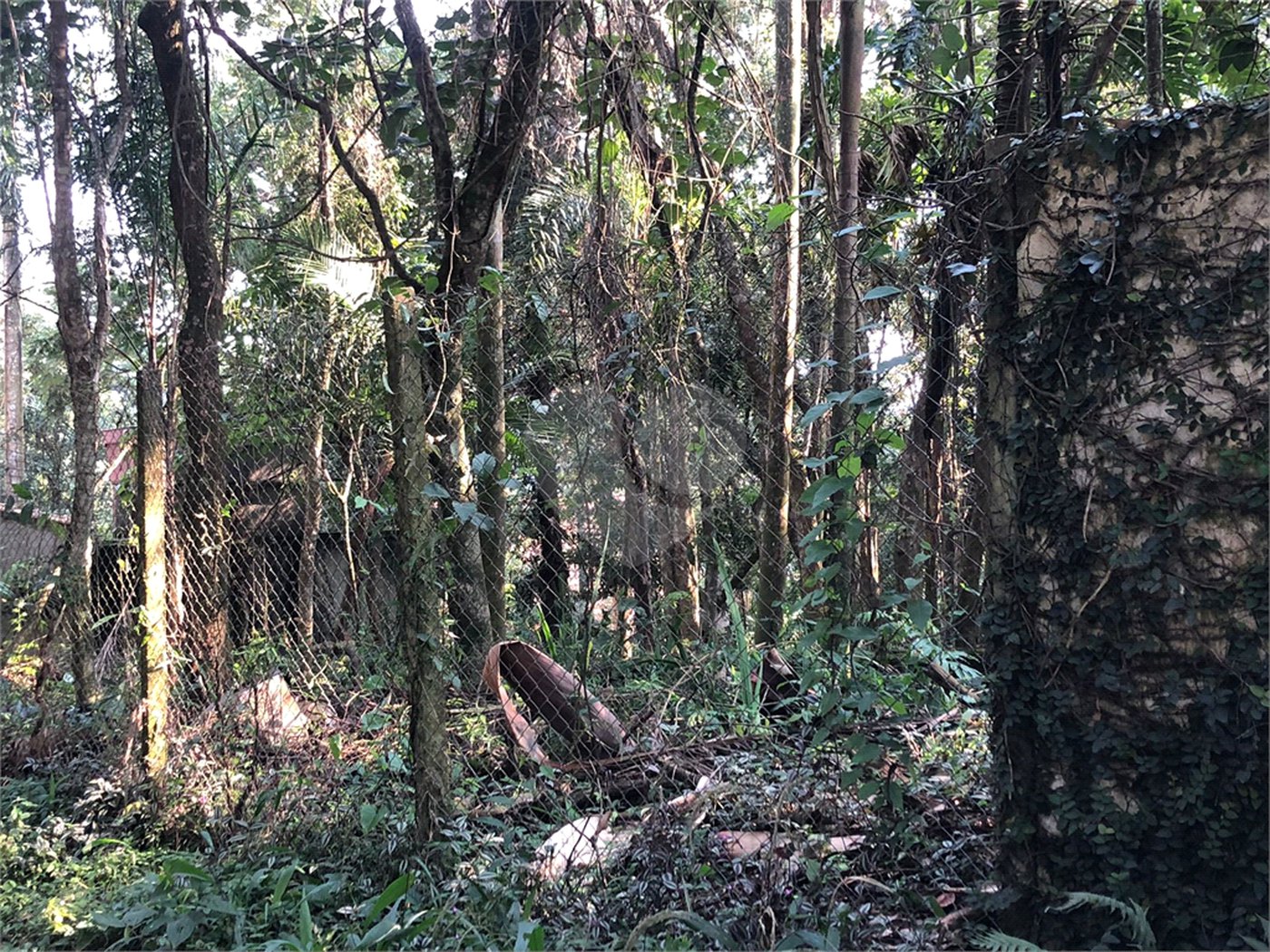 Terreno à venda em Roseira, Mairiporã, SP