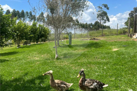 Terreno à venda com 2 quartos no condomínio Reserva do Morro Alto, Jarinu - SP