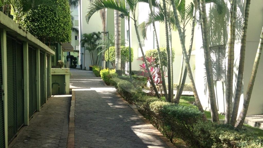 Apartamento à venda com 2 quartos em Vila Nova Cachoeirinha, São Paulo, SP