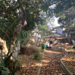 Terreno à venda com 2 quartos em Vila Nivi, São Paulo, SP