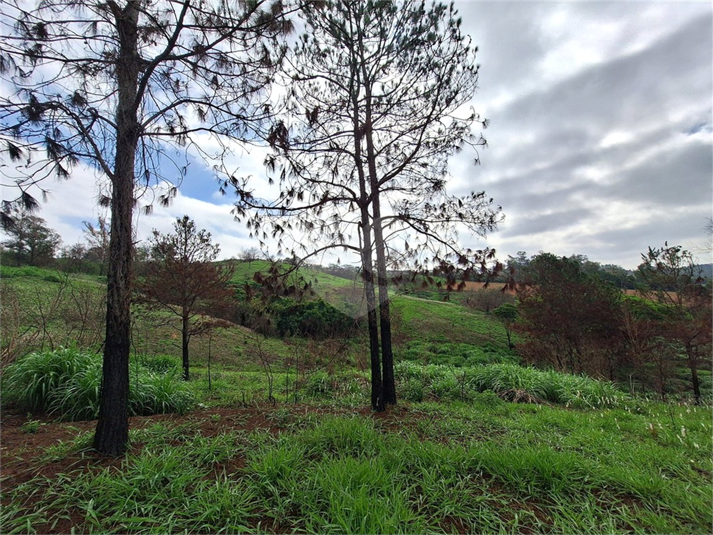 Área de Terra à venda com 1 suíte em Cocais, Itatiba, SP