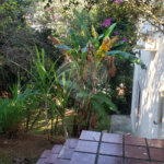 Sobrado à venda com 3 quartos, sendo 1 suíte, em Horto, São Paulo, SP