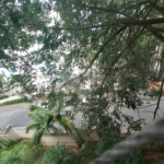 Apartamento à venda com 3 quartos em Paraisópolis, São Paulo, SP