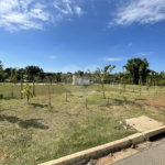 Casa à venda com 3 quartos, sendo 1 suíte, no condomínio Tivolli Residencial, Itapetininga - SP