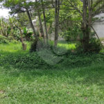 Chácara à venda com 2 quartos em Vila Caputera, Mogi das Cruzes, SP