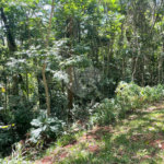 Terreno à venda no condomínio Cantareira, Mairiporã - SP