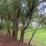 Terreno à venda no condomínio Residencial Porto Atibaia, Atibaia - SP