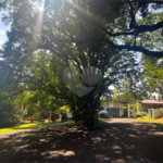 Terreno à venda com 1 suíte no Centro, Araraquara, SP