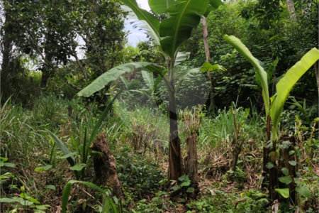 Terreno à venda em Vila Moraes, Mogi das Cruzes, SP