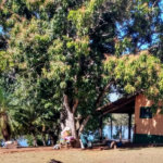 Sítio à venda com 2 quartos, sendo 1 suíte,  em Rural, Três Lagoas, MS
