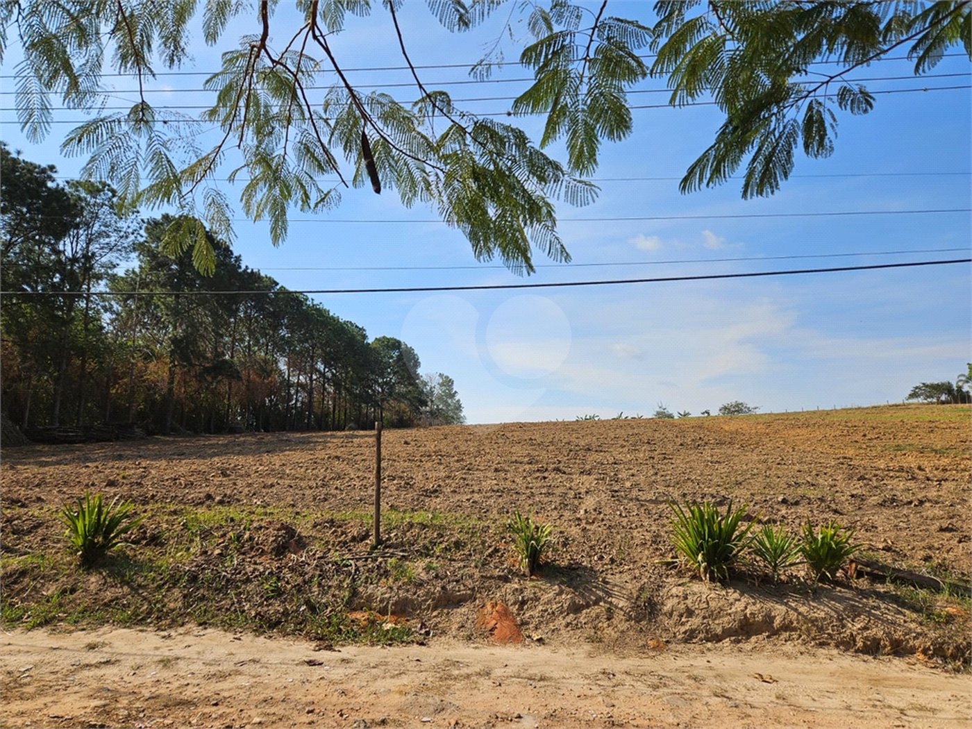 Sítio à venda em Mato Dentro, Indaiatuba, SP