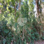 Terreno à venda no condomínio Associação Reserva das Hortênsias, Mairiporã - SP