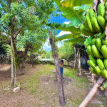 Chácara à venda com 5 quartos, sendo 2 suítes, em Ipanema do Meio, Sorocaba, SP