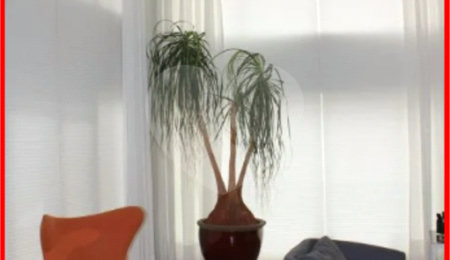 Apartamento à venda com 3 suítes em Jardim Fonte do Morumbi, São Paulo, SP