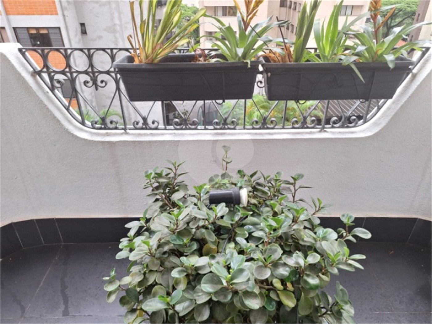 Apartamento à venda com 2 quartos em Indianópolis, São Paulo, SP