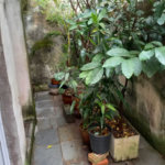 Sobrado à venda com 3 quartos em Aclimação, São Paulo, SP