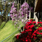 Sítio à venda com 3 suítes em Recreio Costa Verde, Itatiba, SP
