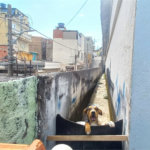 Prédio à venda em Casa Verde, São Paulo, SP