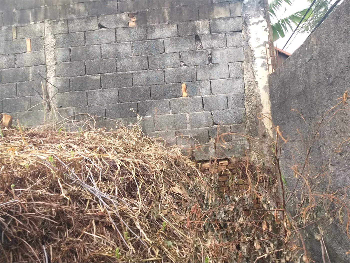 Terreno à venda com 1 suíte em Tucuruvi, São Paulo, SP