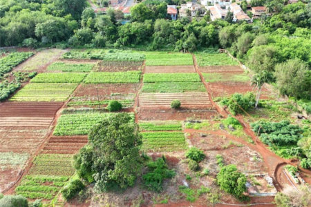 Terreno à venda em Jardim Itaú, Ribeirão Preto, SP