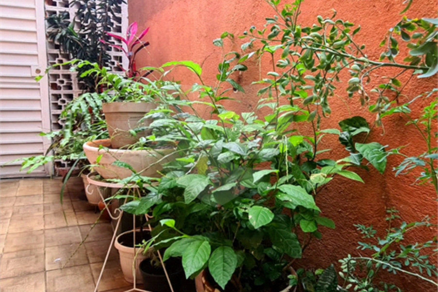 Sobrado à venda com 3 quartos em Limão, São Paulo, SP