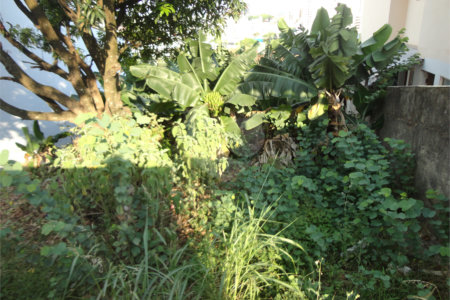 Terreno à venda em Vila São José, Valinhos, SP