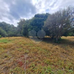 Terreno à venda em Portal da Figueira, Itapetininga, SP