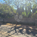 Chácara à venda em Altos da Bela Vista, Indaiatuba, SP