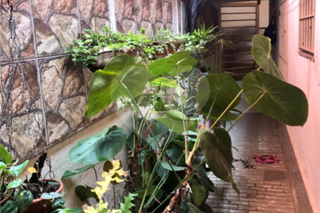 Casa Térrea à venda com 3 quartos em Cidade Domitila, São Paulo, SP