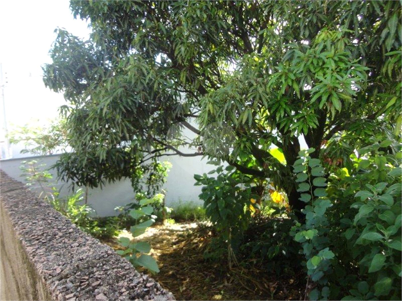 Terreno à venda em Vila São José, Valinhos, SP