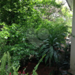 Casa à venda com 4 quartos, sendo 1 suíte,  em Jardim Petrópolis, São Paulo, SP