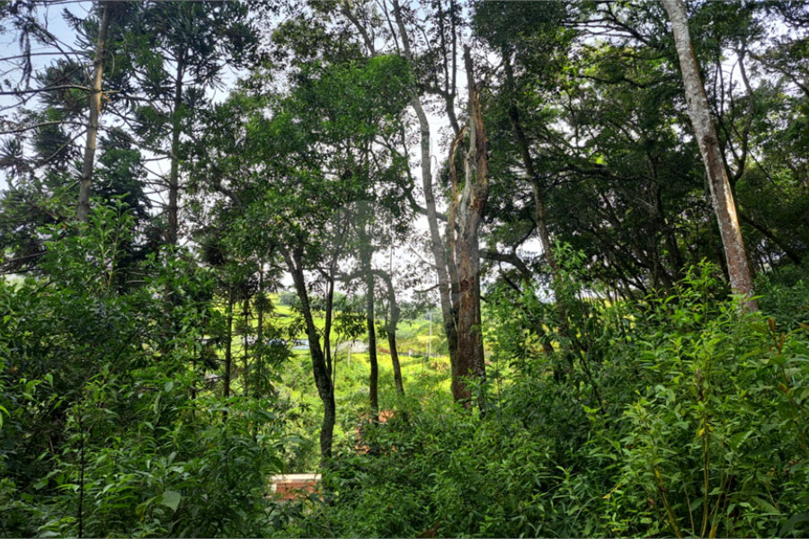 Terreno à venda em Serra da Cantareira, Mairiporã, SP