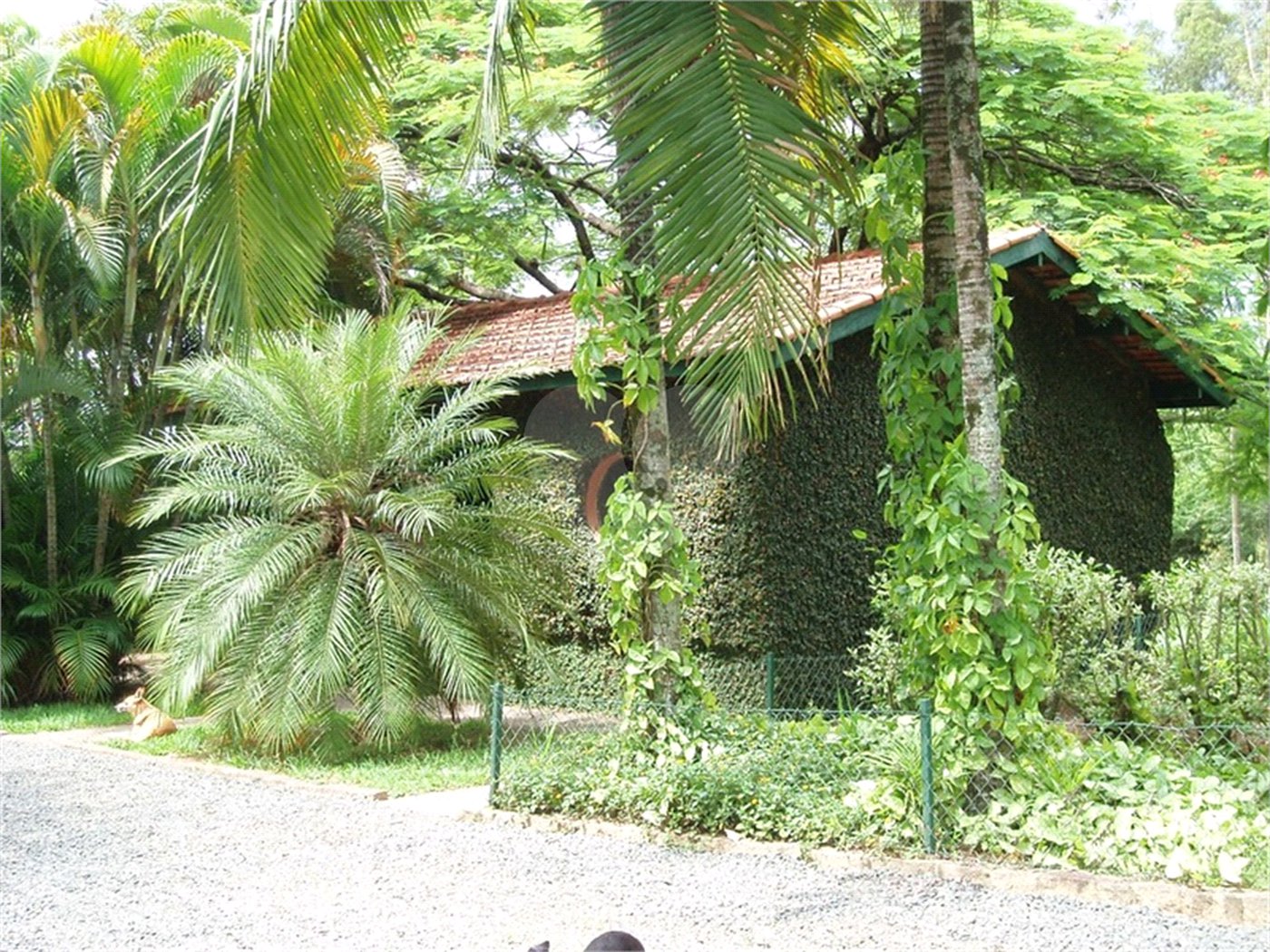 Fazenda à venda com 6 quartos, sendo 3 suítes, em Caldeira, Indaiatuba, SP