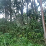 Condomínio à venda em Serra da Cantareira, Mairiporã, SP
