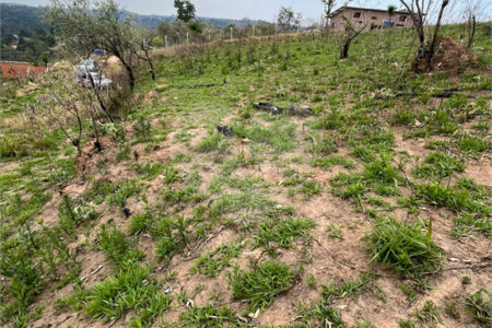Terreno à venda em Recanto das Acácias, São Roque, SP