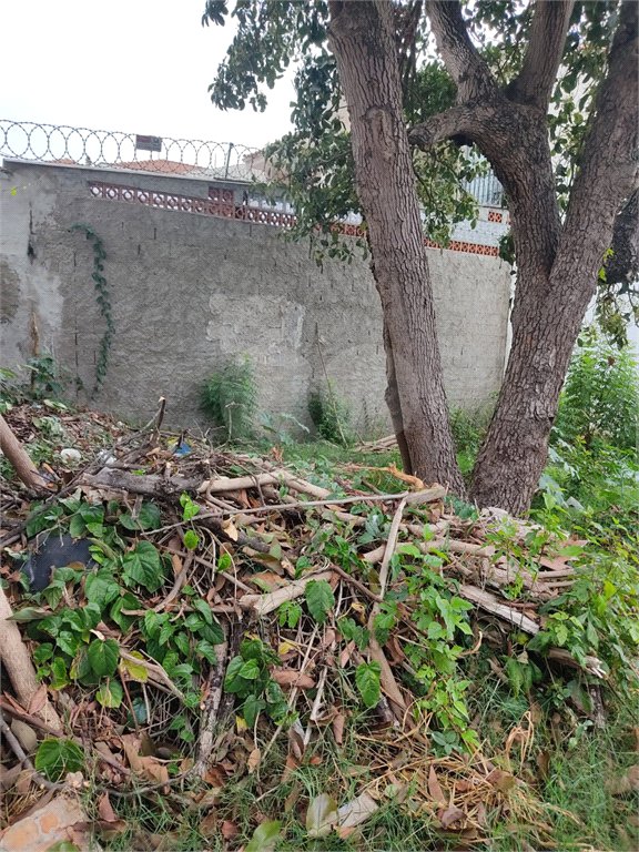 Terreno à venda em Vila Constança, São Paulo, SP