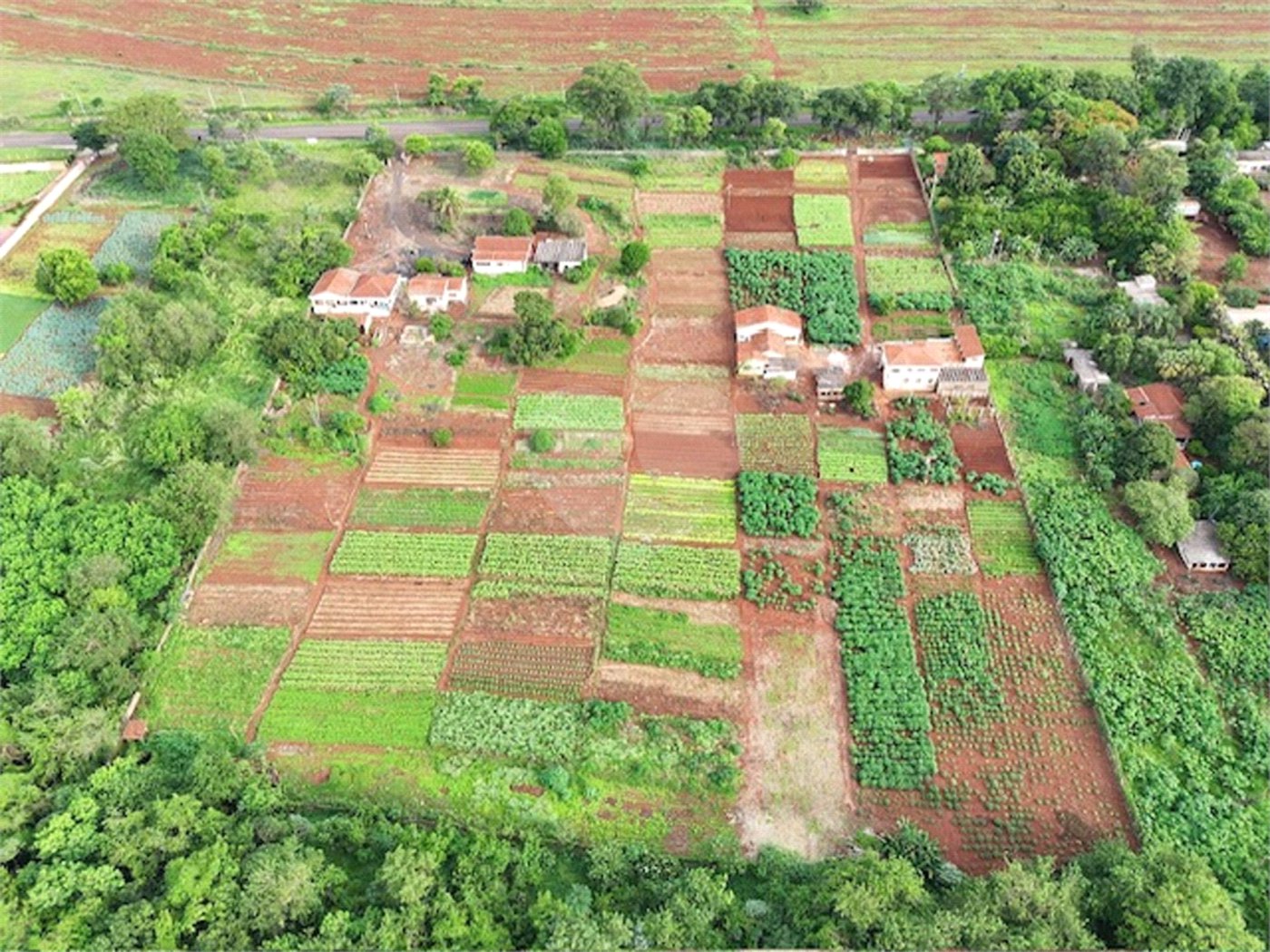 Terreno à venda em Jardim Itaú, Ribeirão Preto, SP