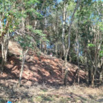 Terreno à venda em Jardim Peri, São Paulo, SP