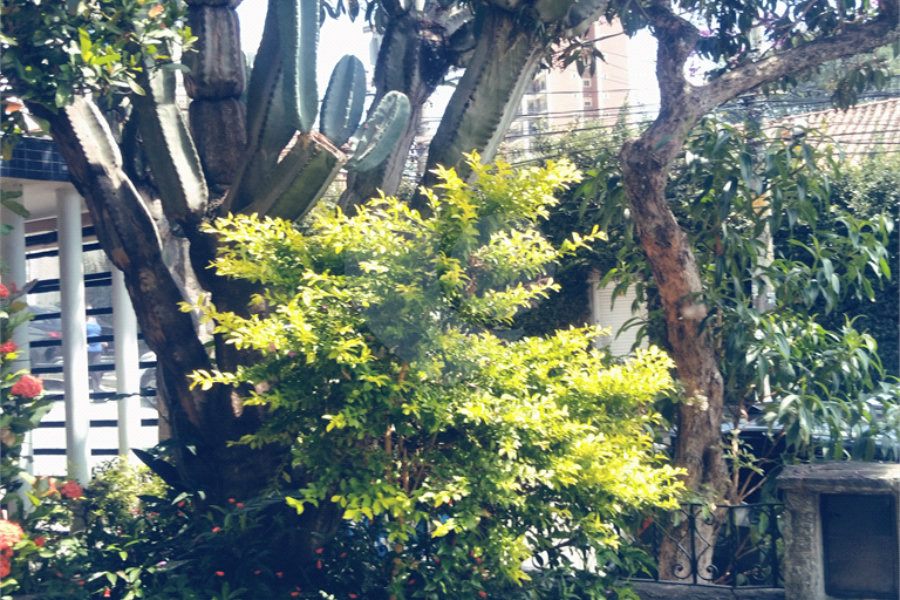 Sobrado à venda com 3 quartos em Jardim São Paulo(zona Norte), São Paulo, SP