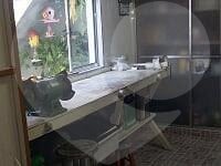 Casa à venda com 6 quartos, sendo 1 suíte,  em Itaquera, São Paulo, SP