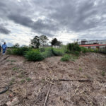 Terreno à venda em Vila Iracema, São José dos Campos, SP
