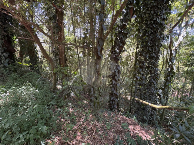 Terreno à venda em Serra da Cantareira, Mairiporã, SP