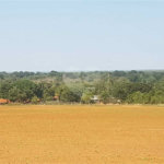 Fazenda à venda com 2 quartos em Canabrava, João Pinheiro, MG
