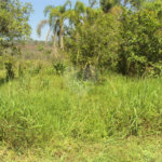 Chácara à venda com 1 quarto em Cruz das Almas, Biritiba-mirim, SP