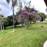 Terreno à venda em Loteamento Terras de São Pedro e São Paulo, Salto, SP